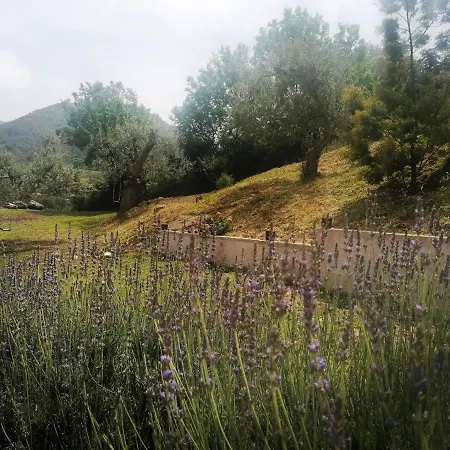 Vakantiehuis L'opuntia Sul Caccamo